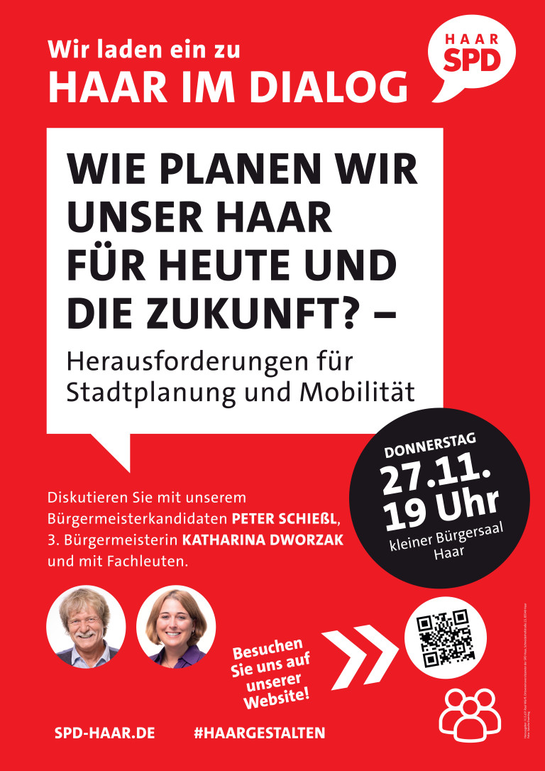 HaarImDialog_11.2025